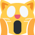 :scream_cat: