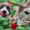 pitbullgiraffe