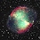 Warp